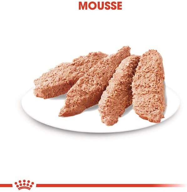 Royal Canin Exigent for All Sizes Wet Dog Food