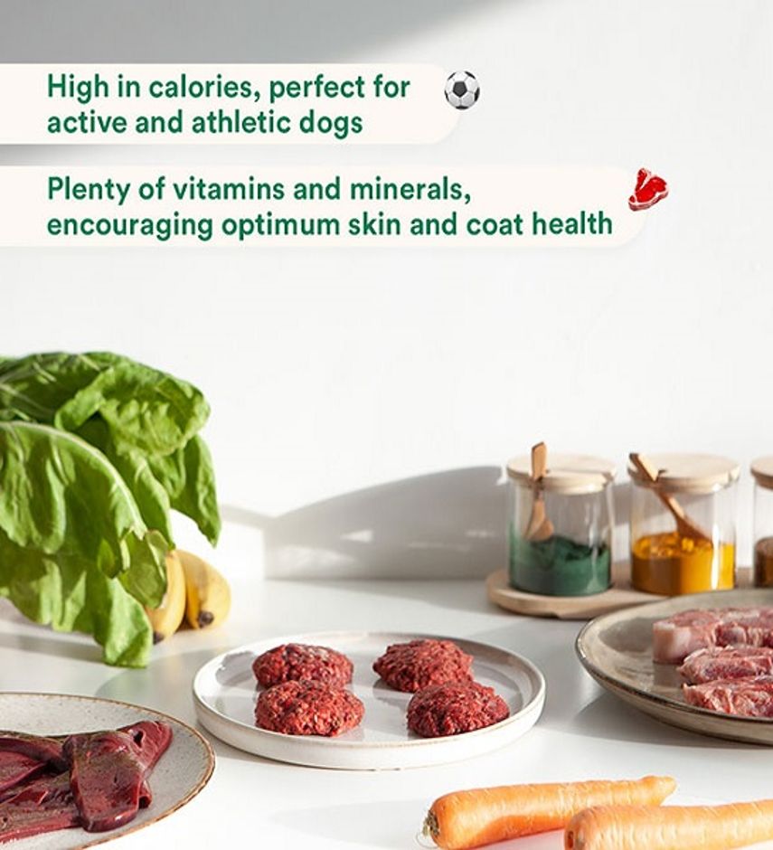 Wild Balance Complete BARF Menu Lamb for Dogs