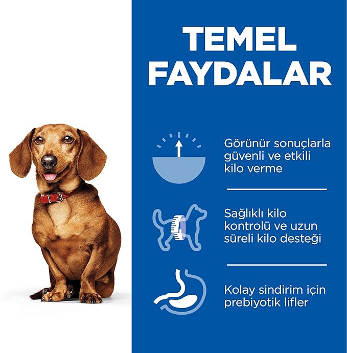 Royal Canin Mini Adult Dermacomfort Dry Dog Food
