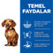 Royal Canin Mini Adult Dermacomfort Dry Dog Food