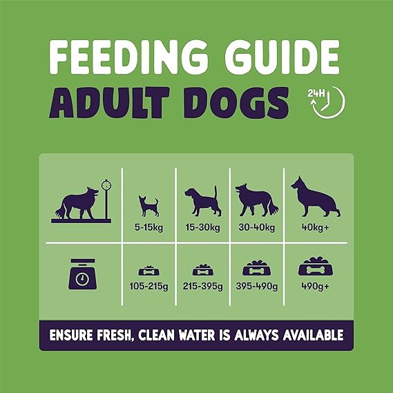 Burgess Sensitive Adult Lamb Dry Dog Food - 12.5KG