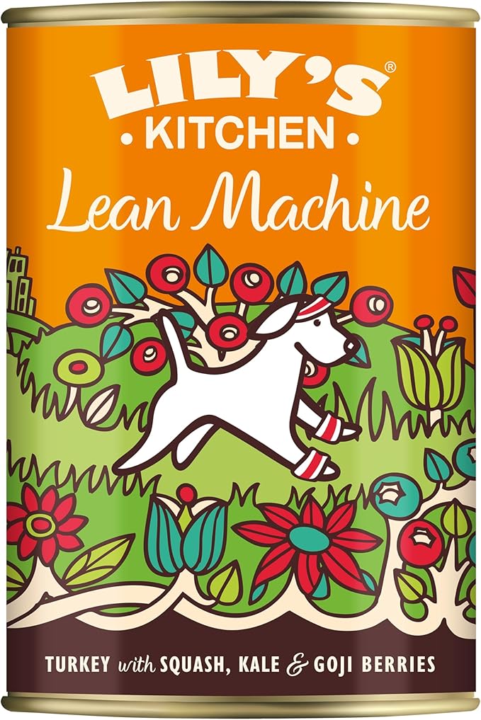 Lily's Kitchen Lean Machine Wet Dog Food