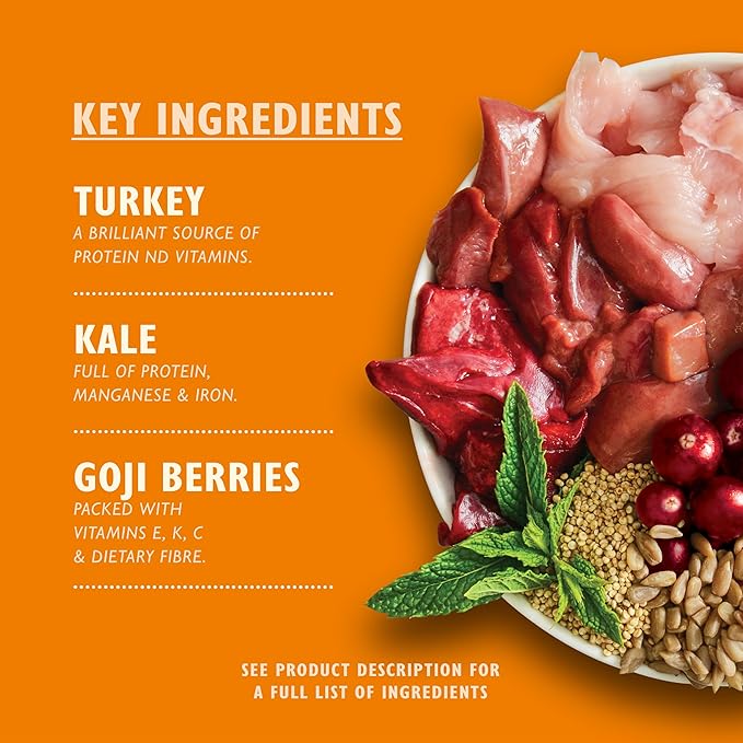 Lily's Kitchen Lean Machine Wet Dog Food