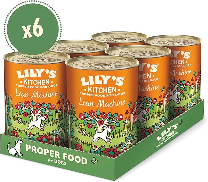 Lily's Kitchen Lean Machine Wet Dog Food
