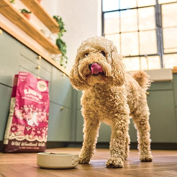 Lily's Kitchen Venison & Duck Grain Free Adult Dry Dog Food