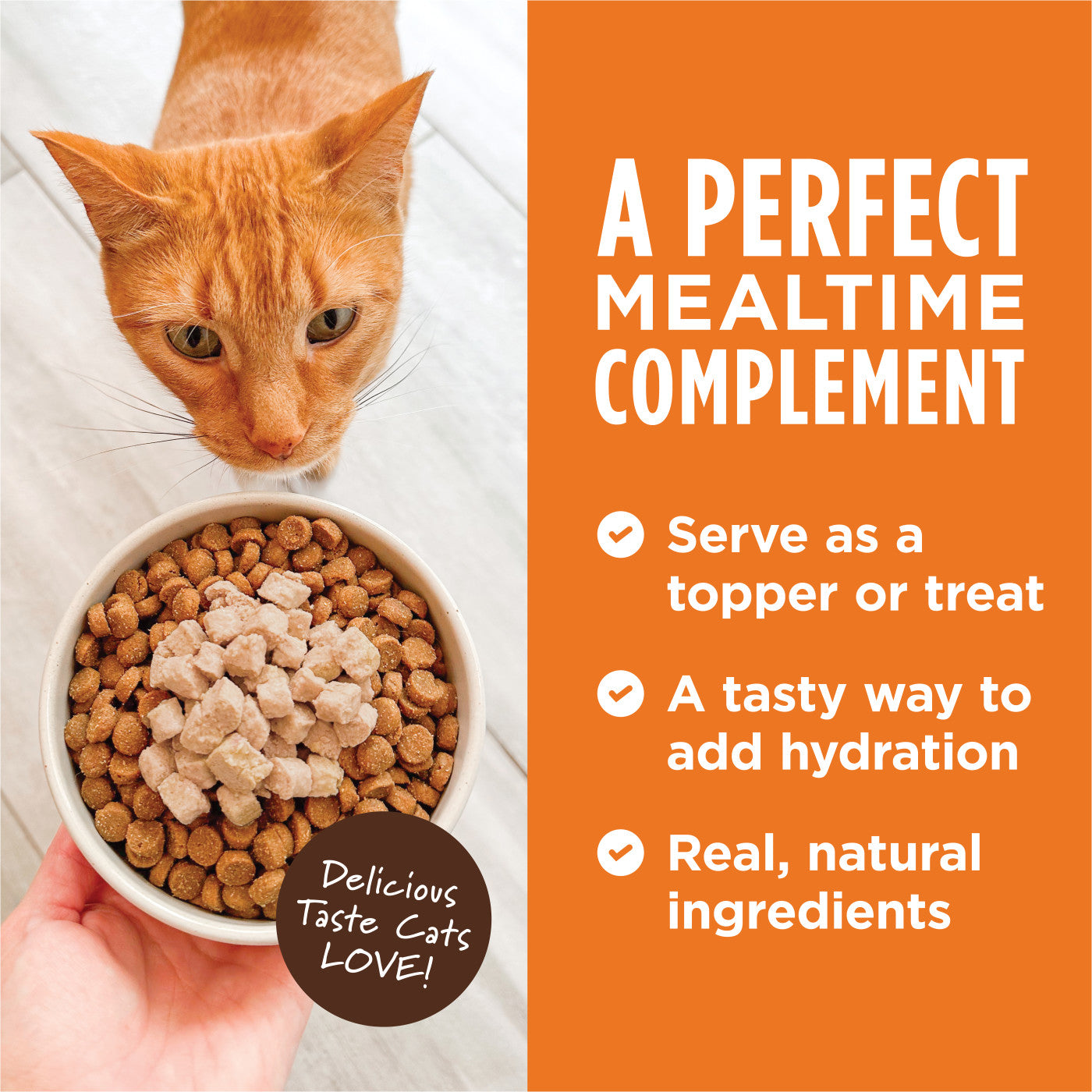 Instinct Healthy Cravings Chicken Wet Cat Food