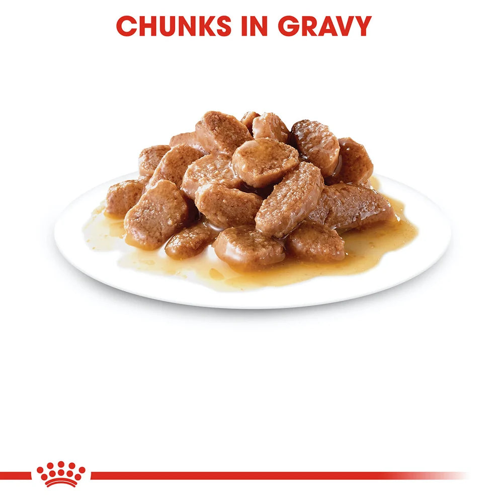 Royal Canin Ultra Light in Gravy Adult Wet Cat Food