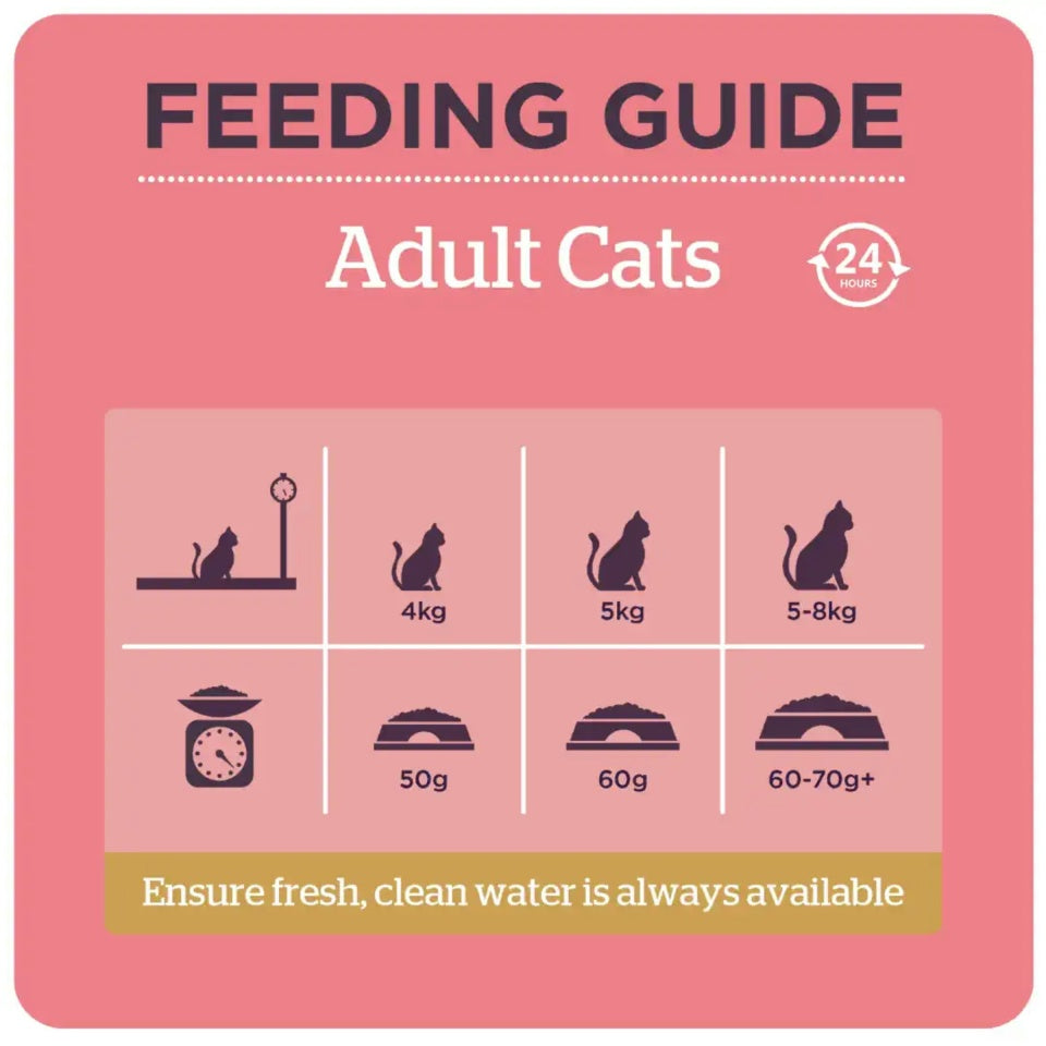 Burgess Adult Chicken & Duck Cat Dry Food