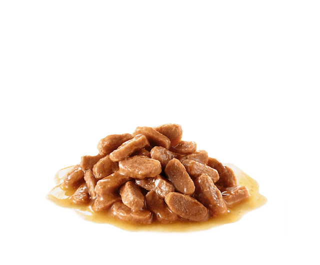 Royal Canin Indoor Sterilised in Gravy Cat Wet Food