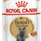 Royal Canin British Shorthair Adult Wet Cat Food
