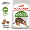 Royal Canin Active Life Outdoor Adult Dry Cat Food