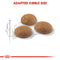 Royal Canin Active Life Outdoor Adult Dry Cat Food