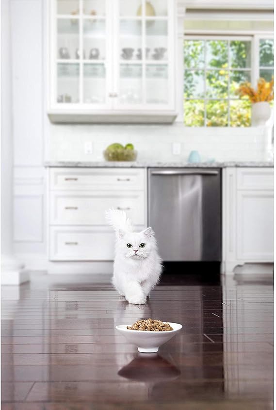 PURINA Fancy Feast Grilled Beef Feast Wet Cat Food