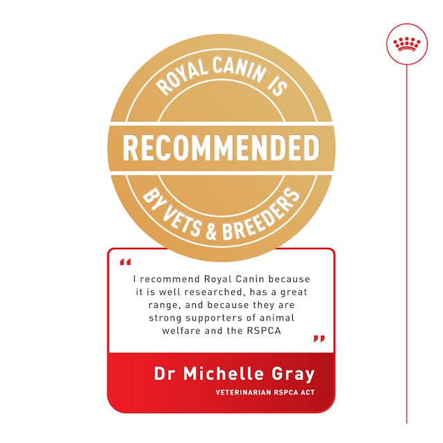 Royal Canin Hair & Skin in Jelly Adult Wet Cat Food