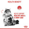 Royal Canin Hair & Skin in Jelly Adult Wet Cat Food