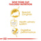 Royal Canin Persian Adult Wet Cat Food