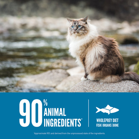 Orijen Six Fish Formula Grain Free Diet Dry Cat Food