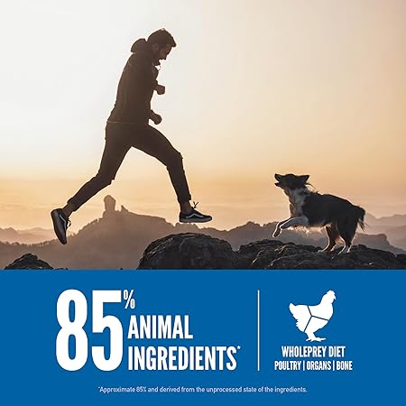 Orijen Original Adult Dry Dog Food