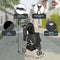 Trixie Buggy Stroller for Dogs