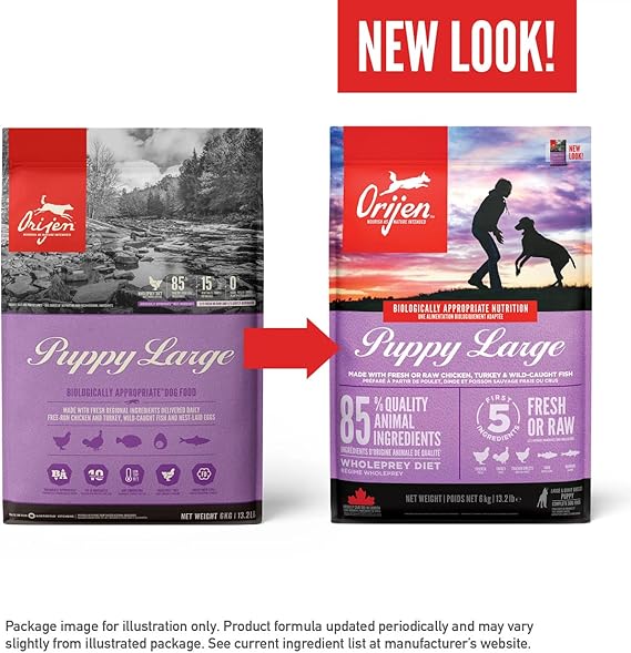 Orijen Large Breed Puppy Dry Food