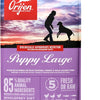Orijen Large Breed Puppy Dry Food