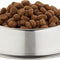 Orijen Large Breed Puppy Dry Food