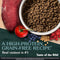 Taste of the Wild Appalachian Valley Canine Formula Dry Dog Food