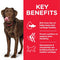 Hill's Science Plan Healthy Mobility Large Breed Adult Dog Food with Chicken
