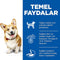 Hill's Science Plan Small & Mini Adult Chicken Dry Dog Food