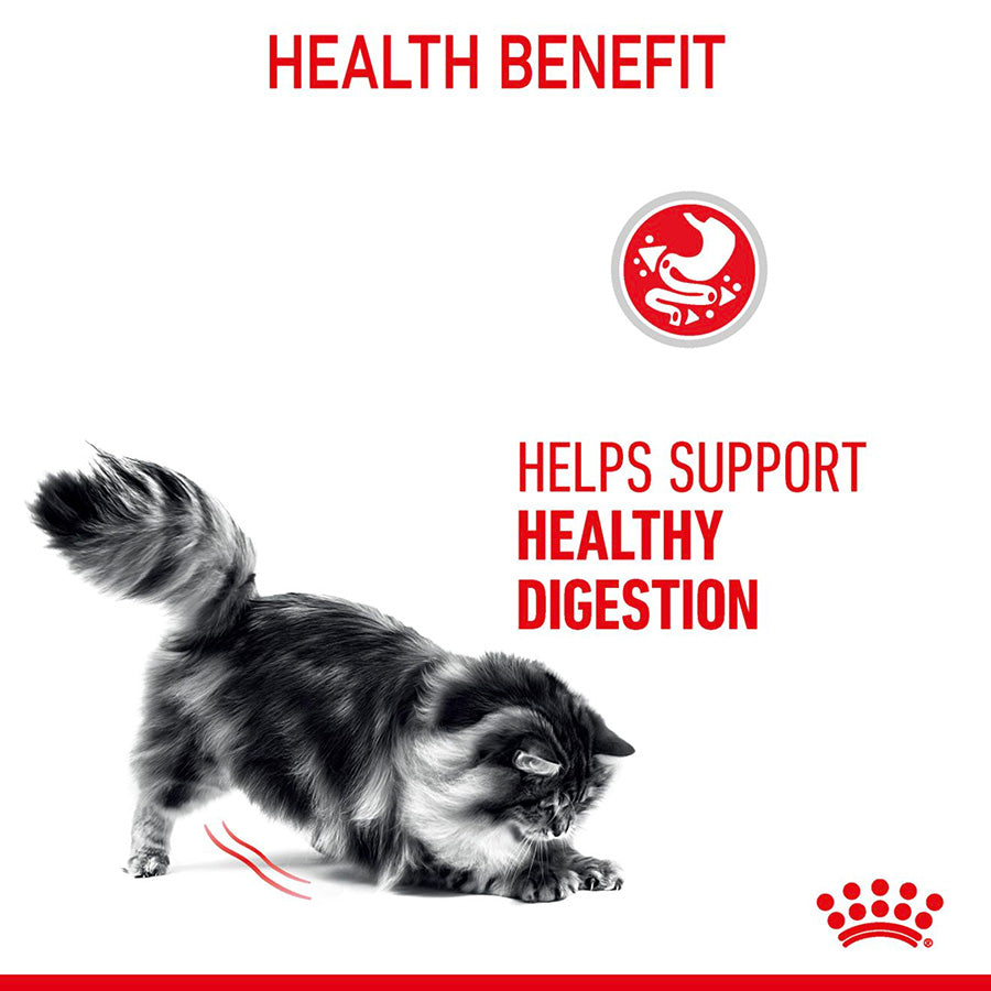 Royal Canin Digest Sensitive Adult Wet Cat Food