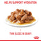 Royal Canin Digest Sensitive Adult Wet Cat Food