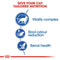 Royal Canin Home Life Indoor 7+ Dry Cat Food