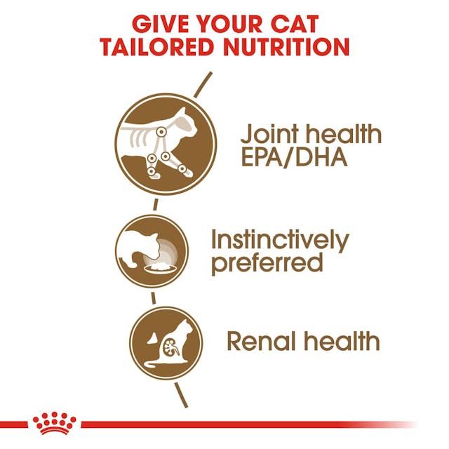 Royal Canin Ageing 12+ Adult Wet Cat Food