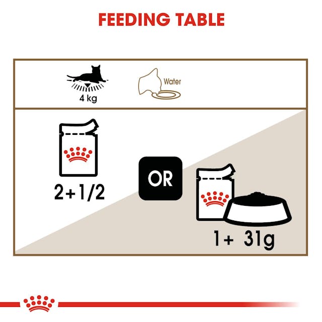 Royal Canin Ageing 12+ Adult Wet Cat Food