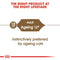 Royal Canin Ageing 12+ Adult Wet Cat Food