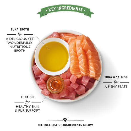 Lily's Kitchen Shredded Fillets Multipack Wet Cat Food