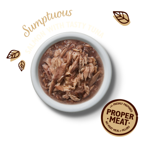 Lily's Kitchen Shredded Fillets Multipack Wet Cat Food