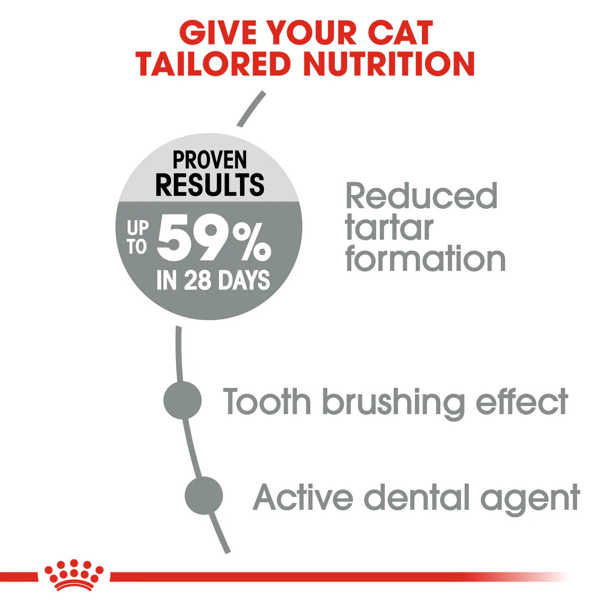 Royal Canin Oral Care Adult Dry Cat Food