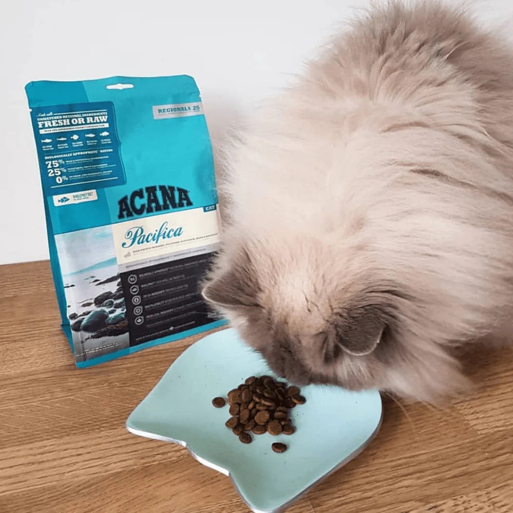Acana Pacifica Dry Cat & Kitten Food