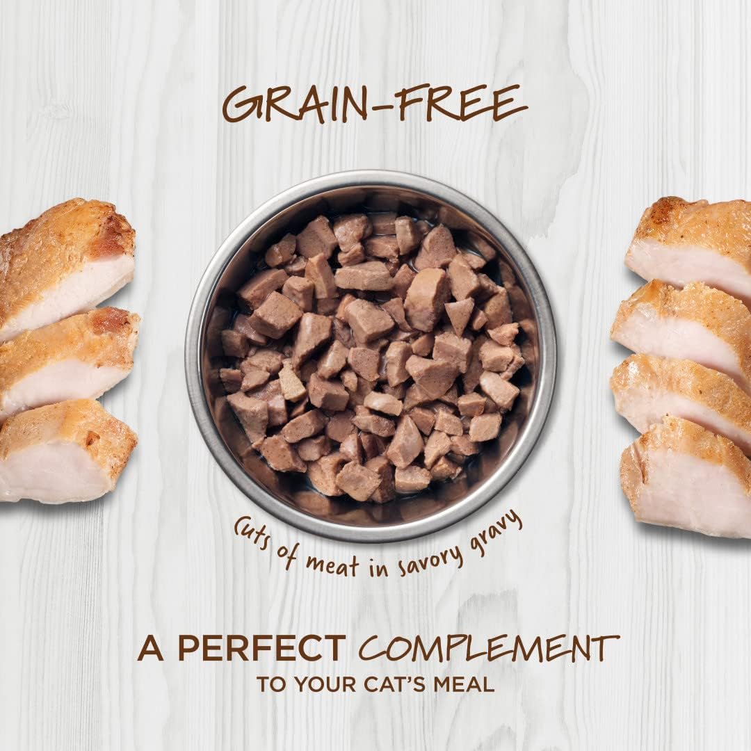 Instinct Healthy Cravings Rabbit Wet Cat Food