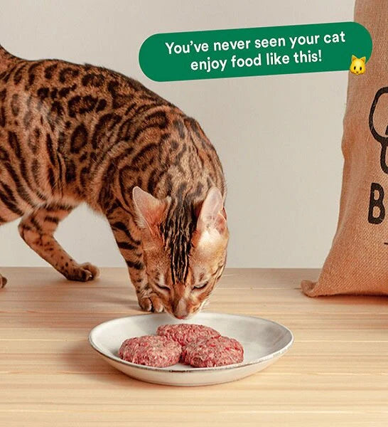 Wild Balance Complete BARF Menu Salmon for Cats