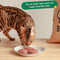 Wild Balance Complete BARF Menu Salmon for Cats