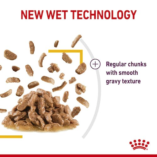 Royal Canin Feline Health Nutrition Sensory Taste Gravy Cat Wet Food