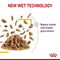 Royal Canin Feline Health Nutrition Sensory Taste Gravy Cat Wet Food