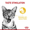 Royal Canin Feline Health Nutrition Sensory Taste Gravy Cat Wet Food