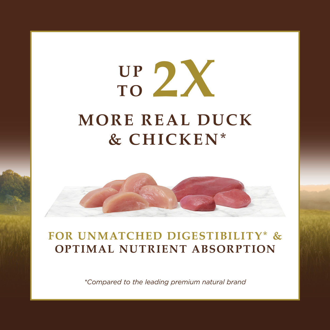 Instinct Ultimate Protein Cage Free Duck Recipe Cat Dry Food
