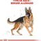 Royal Canin German Shepherd Adult Dry Dog Food
