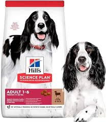 Hill's Science Plan Medium Adult with Lamb & Rice