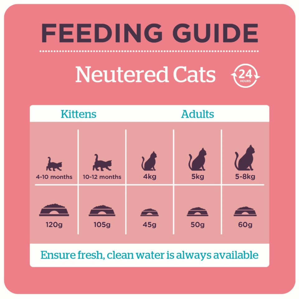 Burgess Neutered Cat Chicken Dry Cat Food