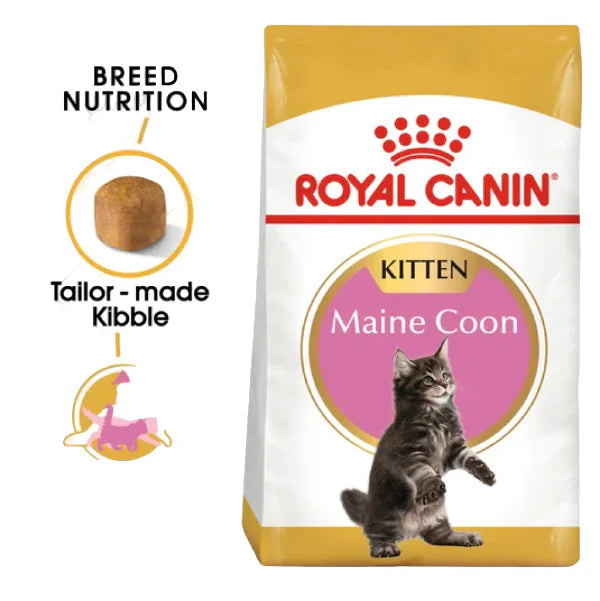 Royal Canin Maine Coon Kitten Dry Food